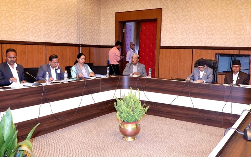 सहकारी छानबिन समितिले सुरू गर्‍यो काम